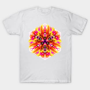 Fantasy mandala done in kaleidoscopic style T-Shirt